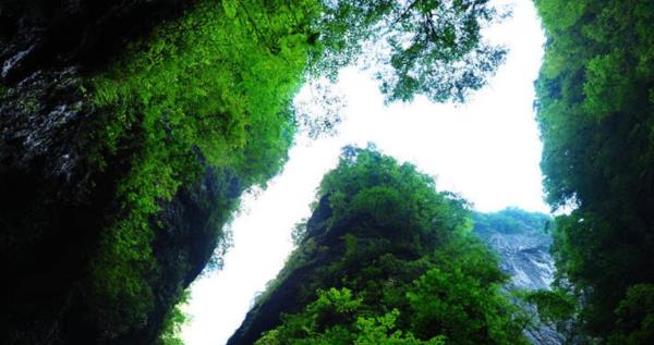 金絲峽景區