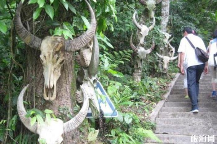 基諾山寨