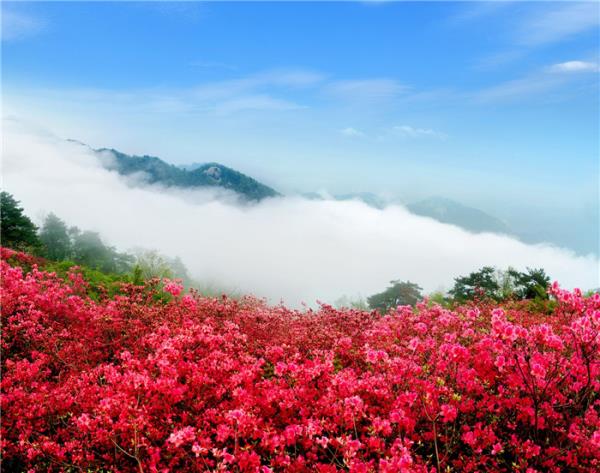 麻城龜峰山景區