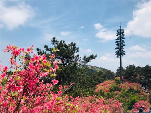 麻城龜峰山景區