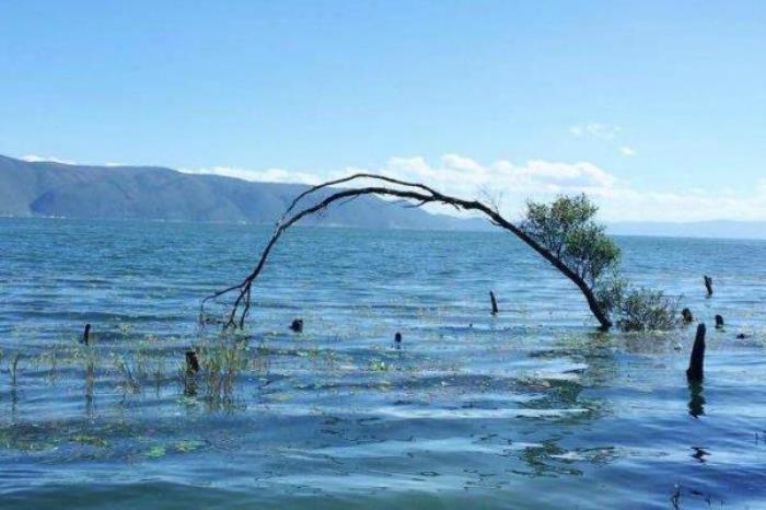 海舌生態公園