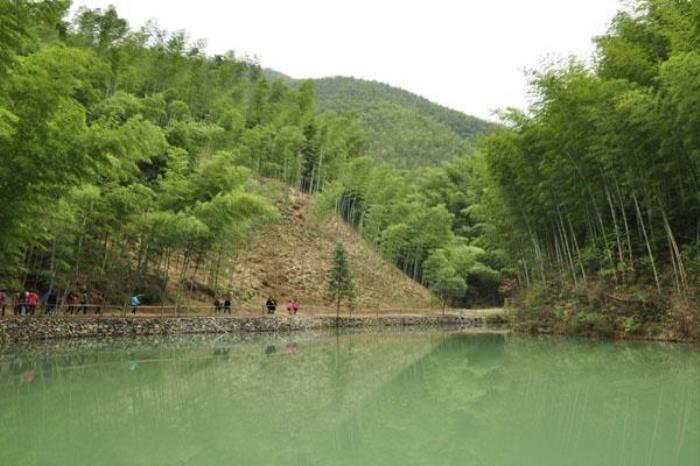 木坑竹海景區