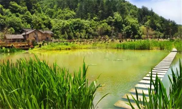 中國秦嶺悠然山高山濕地景區
