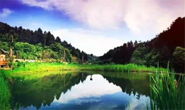 中國秦嶺悠然山高山濕地景區
