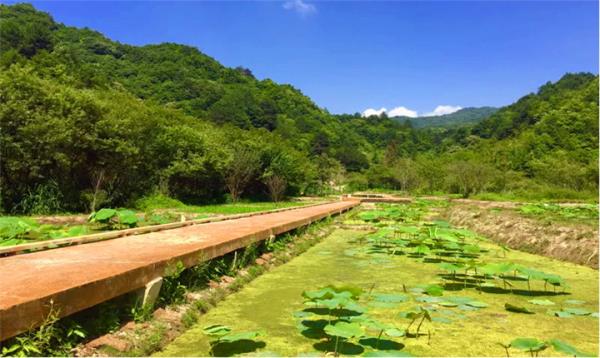 中國秦嶺悠然山高山濕地景區