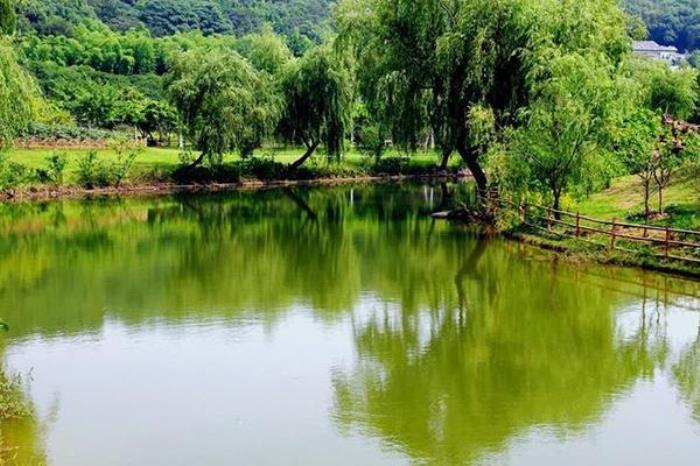 三灣國家森林公園