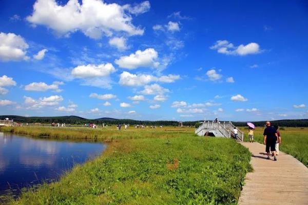 承德-塞罕壩國家森林公園