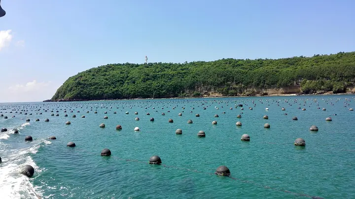 鱷魚山景區