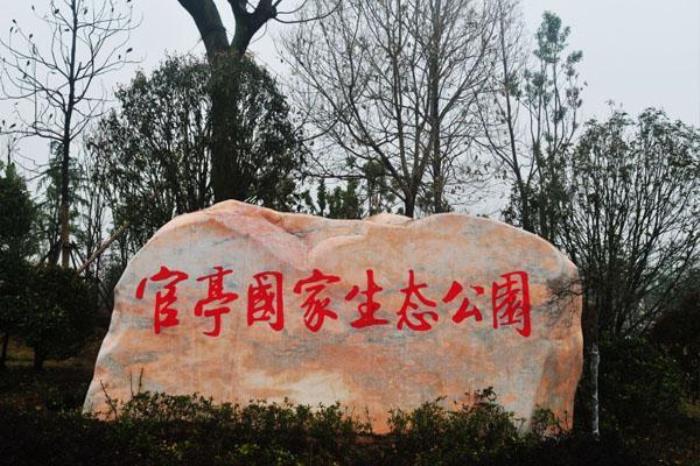 官亭林海景區