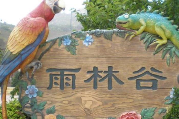 西雙版納雨林谷