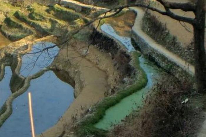 全福莊村