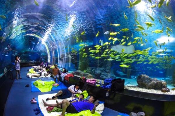 瀘州歡樂海底世界