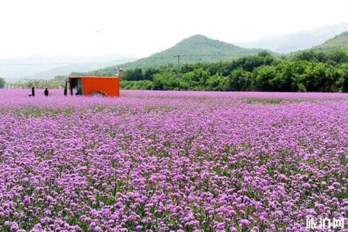 棲花嶺景區(qū)
