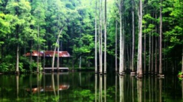 波爾登森林公園