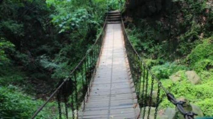 波爾登森林公園