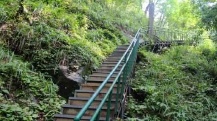 波爾登森林公園