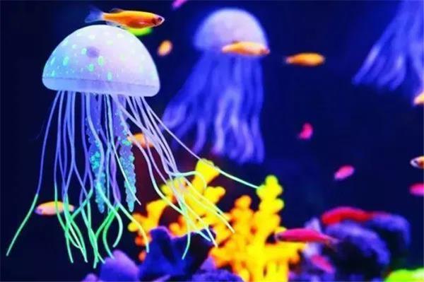 許昌海洋館