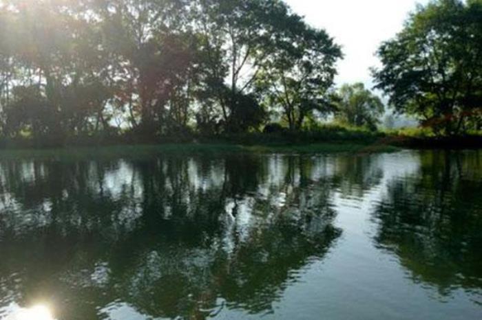 蓮江國家濕地公園