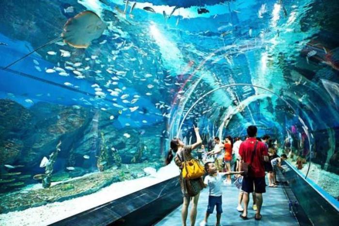 荊州小梅沙海洋館