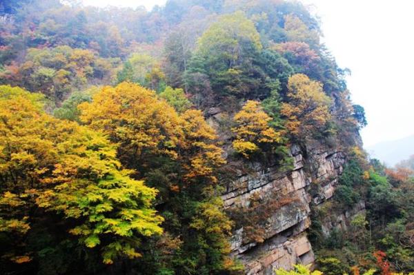 漢中黎坪國家森林公園