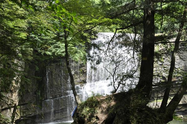 漢中黎坪國家森林公園