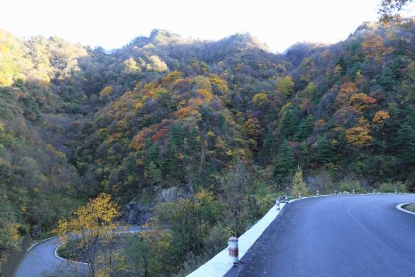 漢中留壩紫柏山