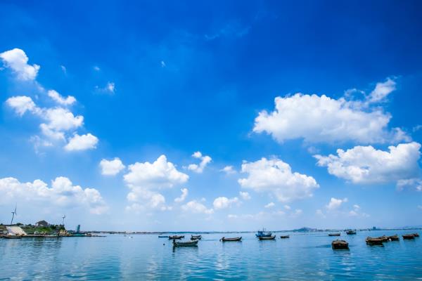 桑溝灣海洋牧場