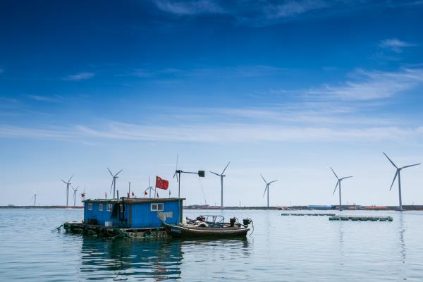桑溝灣海洋牧場