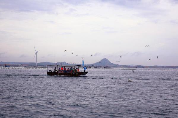 桑溝灣海洋牧場