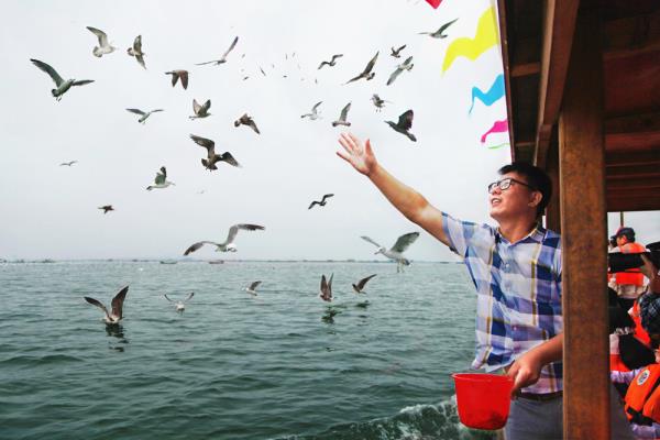 桑溝灣海洋牧場