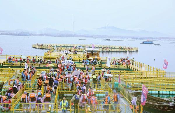 桑溝灣海洋牧場