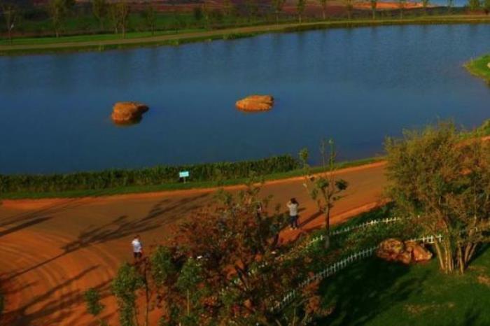 太平湖森林公園