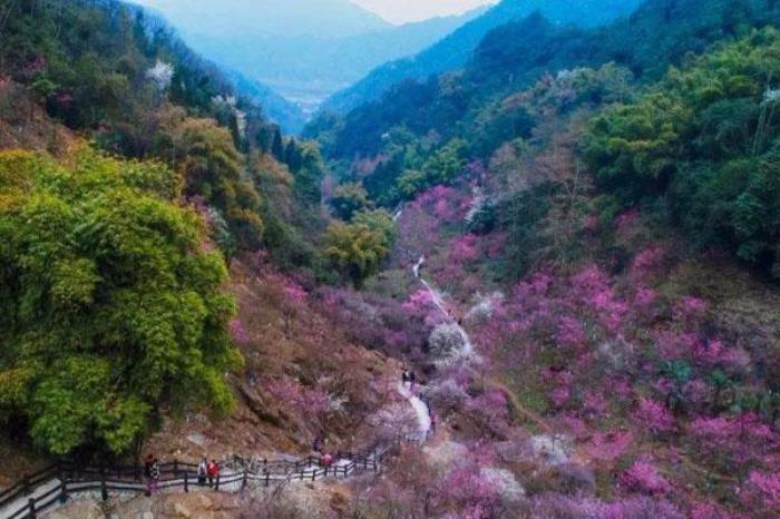 丹景山風(fēng)景區(qū)