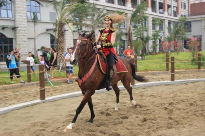 廈門靈玲國際馬戲城