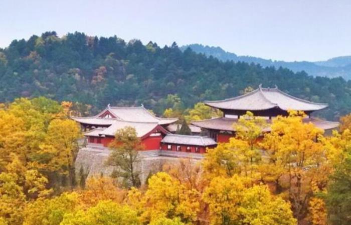 黃陵國家森林公園