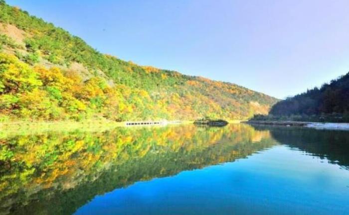 黃陵國家森林公園