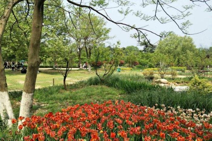 合肥植物園