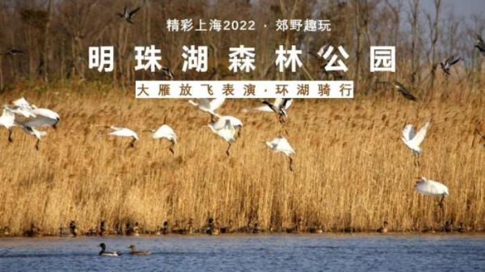 2022《精彩上海》旅游聯票