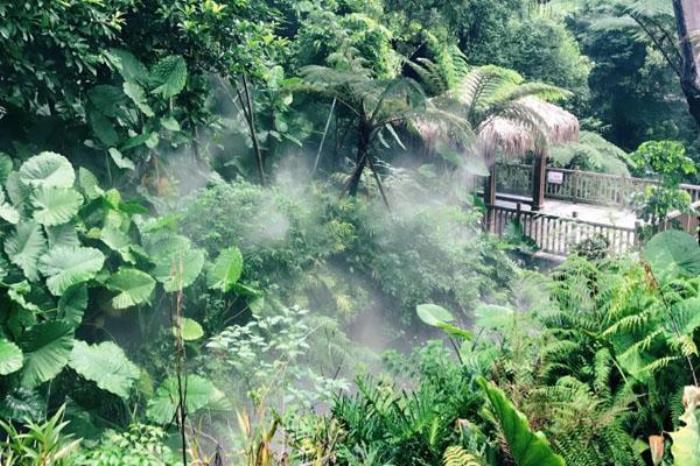 永順植物園