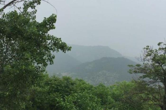 黃巢堡森林公園