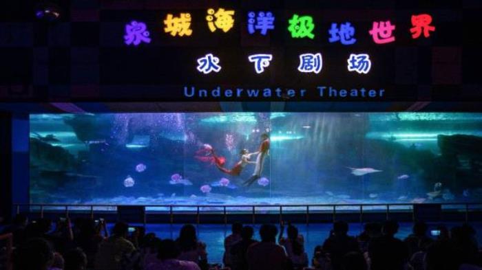 德州-泉城歐樂堡海洋極地世界