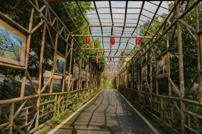 白坪飛龍景區