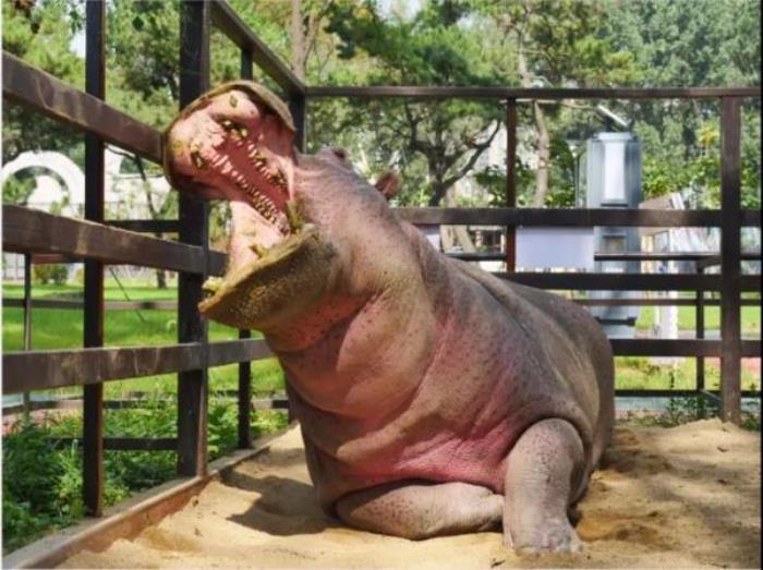 鞍山動(dòng)物園