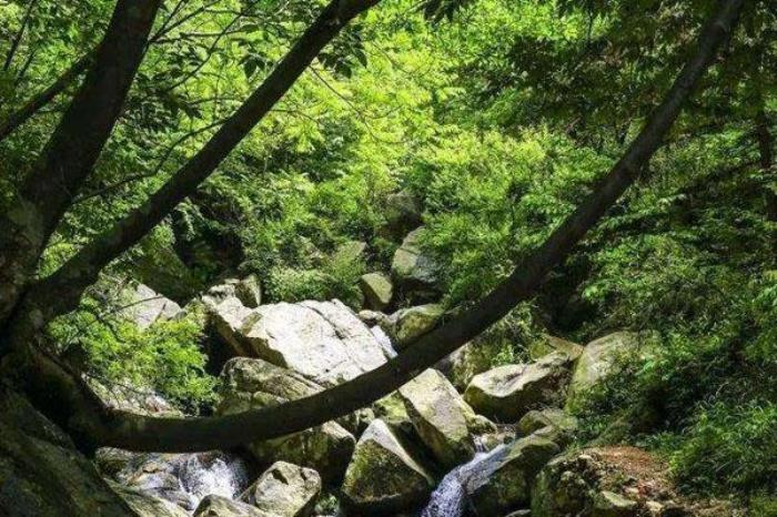 龍井溝