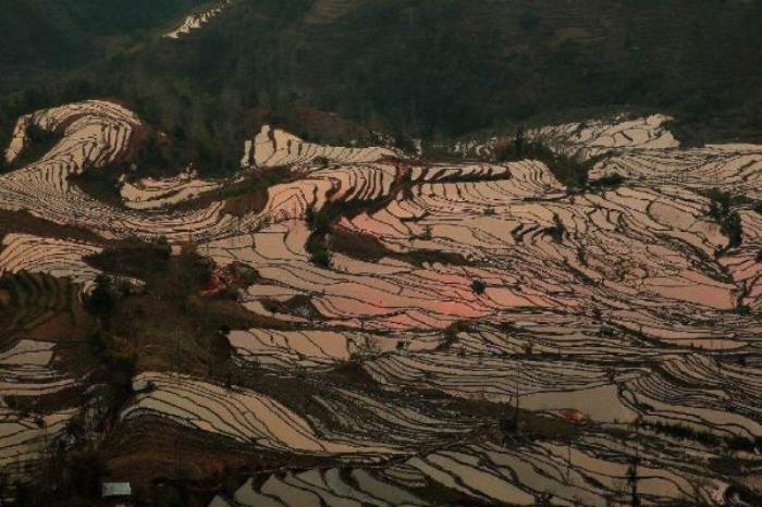 老虎嘴梯田景區(qū)