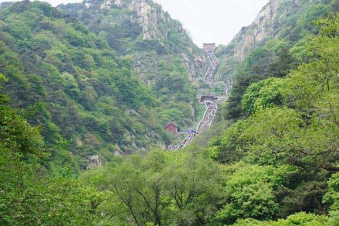 龍脊山