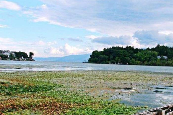 島依旁漁村
