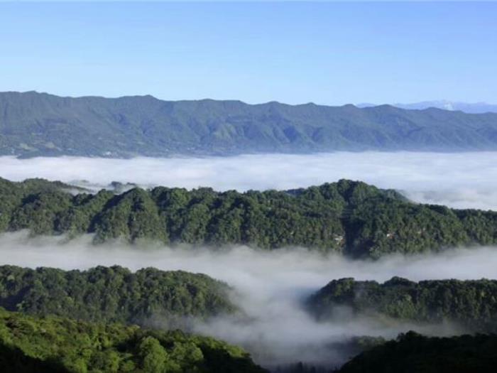 雅安蒙頂山
