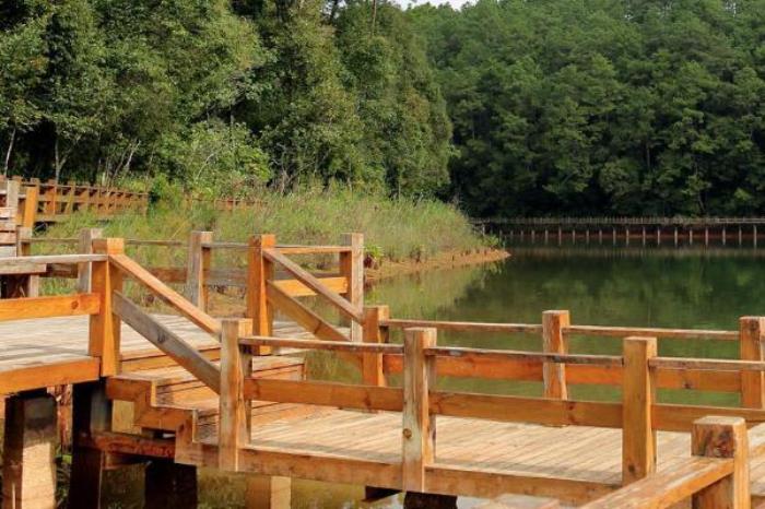 梅子湖公園