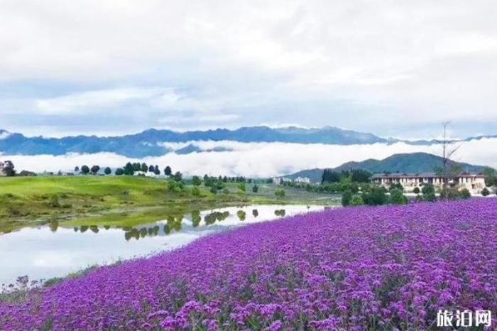 棲花嶺景區